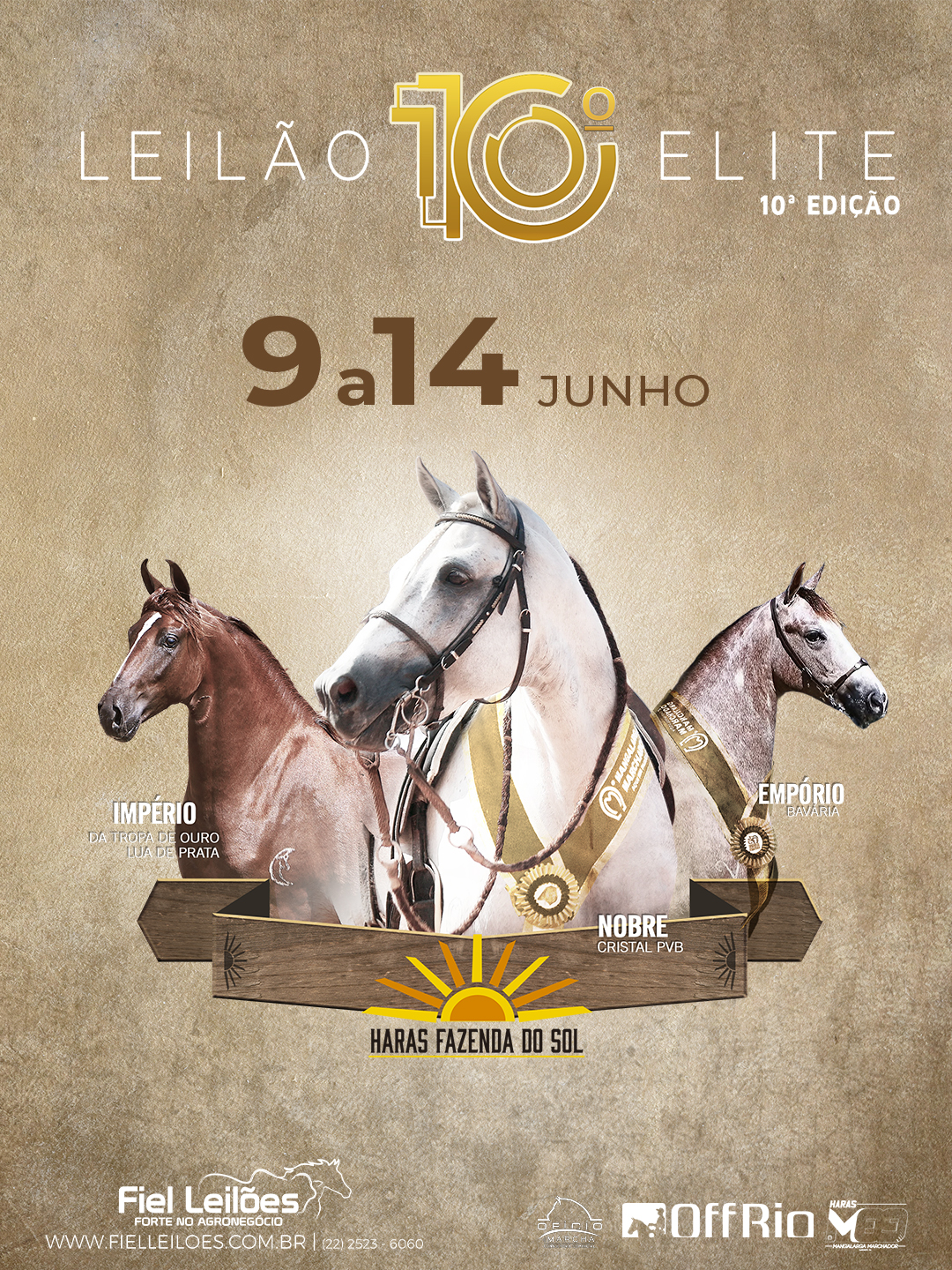 Banner Evento