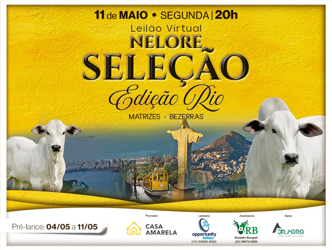 LEILÃO VIRTUAL NELORE SELEÇÃO - EDIÇÃO RIO
