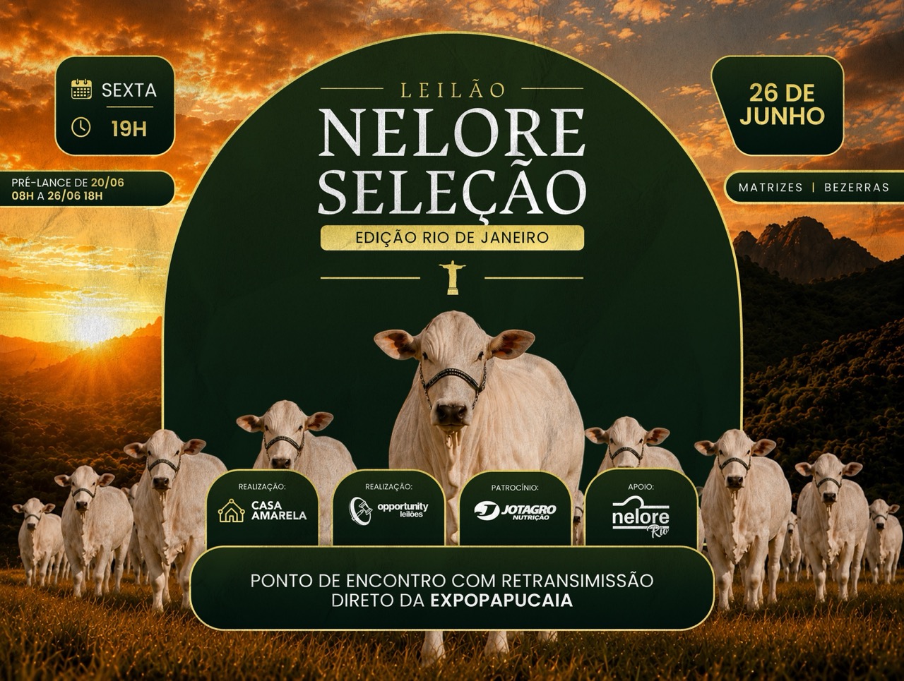 LEILÃO VIRTUAL NELORE SELEÇÃO - EDIÇÃO RIO