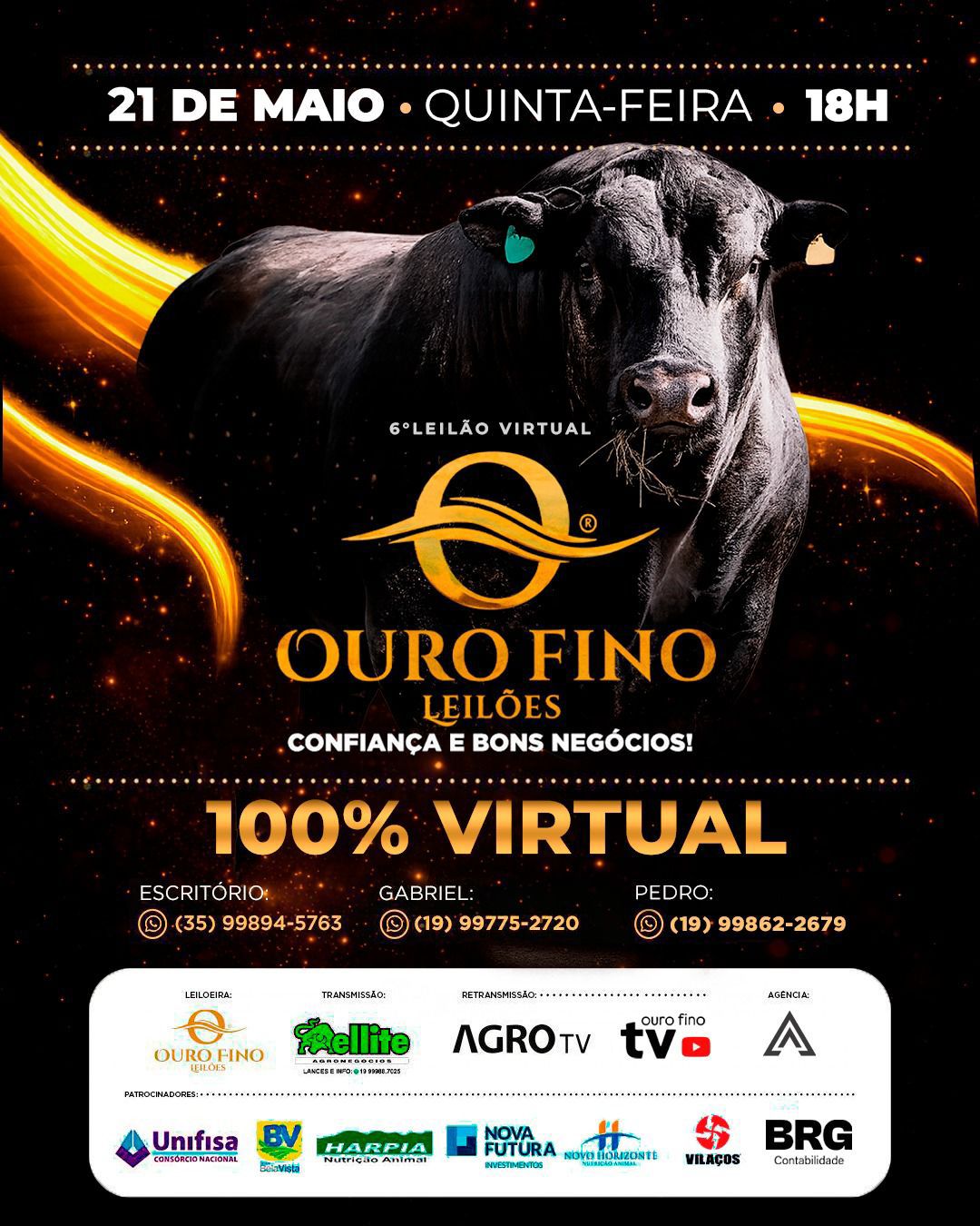 LEILÃO 100% VIRTUAL