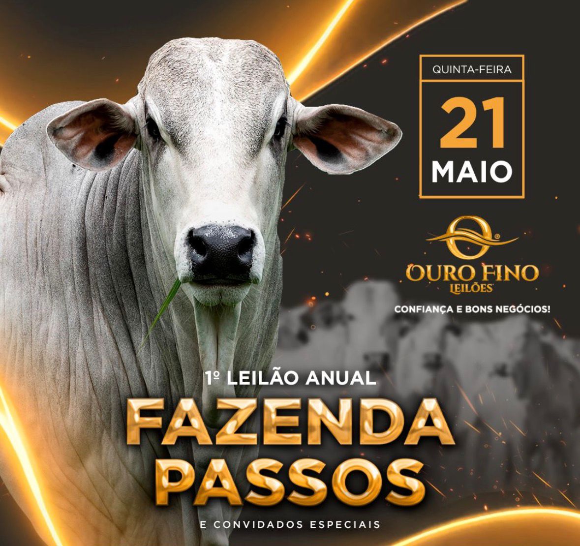 1º LEILÃO ANUAL FAZENDA PASSOS