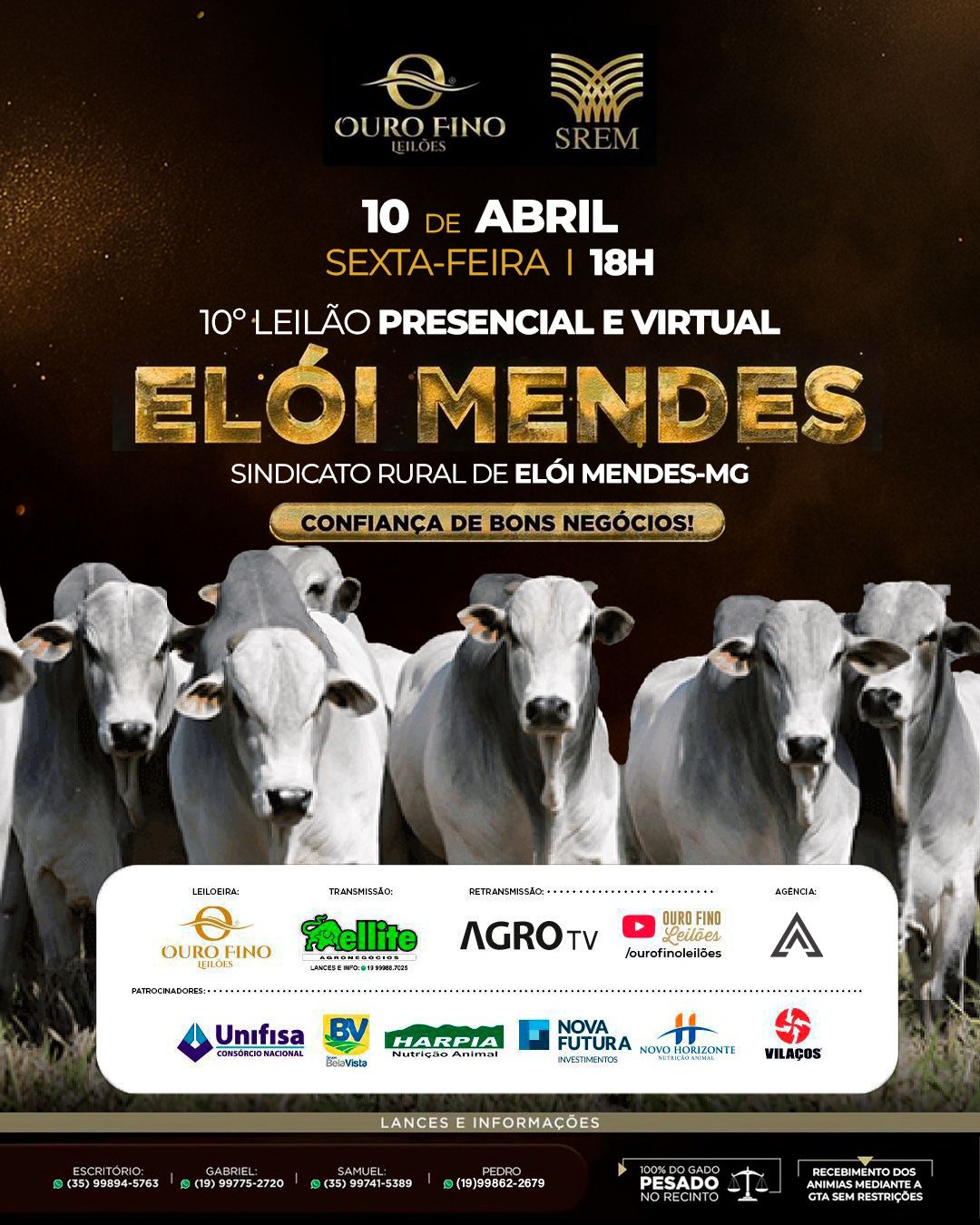 10º LEILÃO PRESENCIAL E VIRTUAL ELÓI MENDES