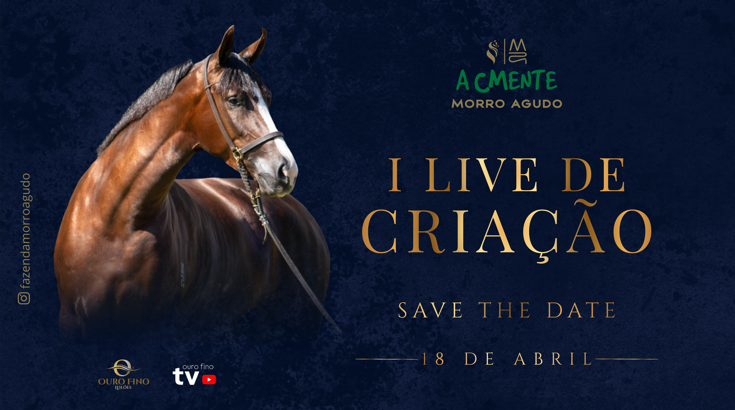 I LIVE DE CRIAÇÃO ACMENTE MORRO AGUDO