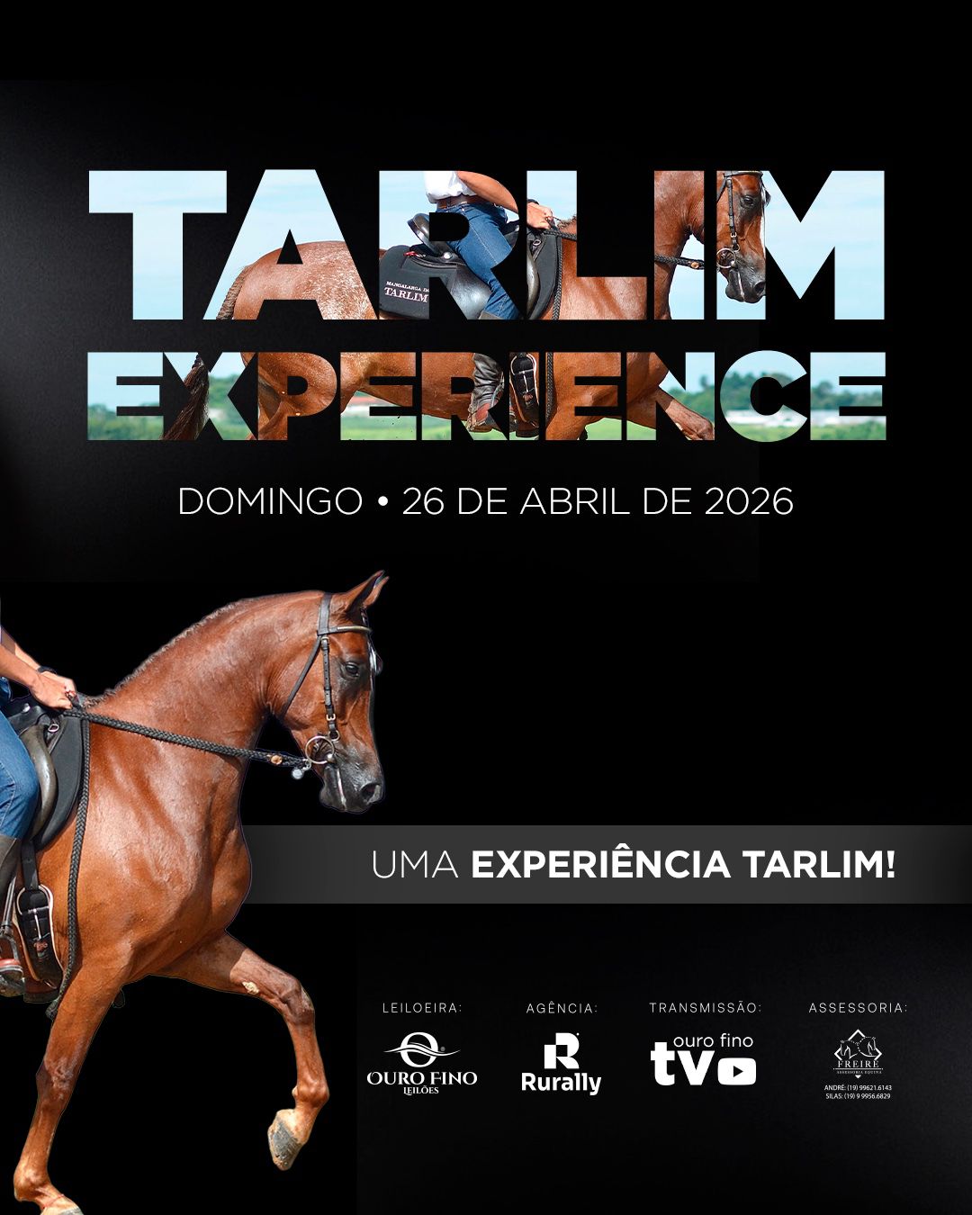 TARLIM EXPERIENCE