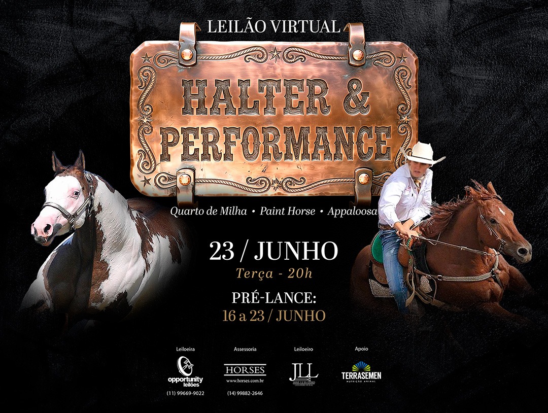 LEILÃO VIRTUAL HALTER & PERFORMANCE