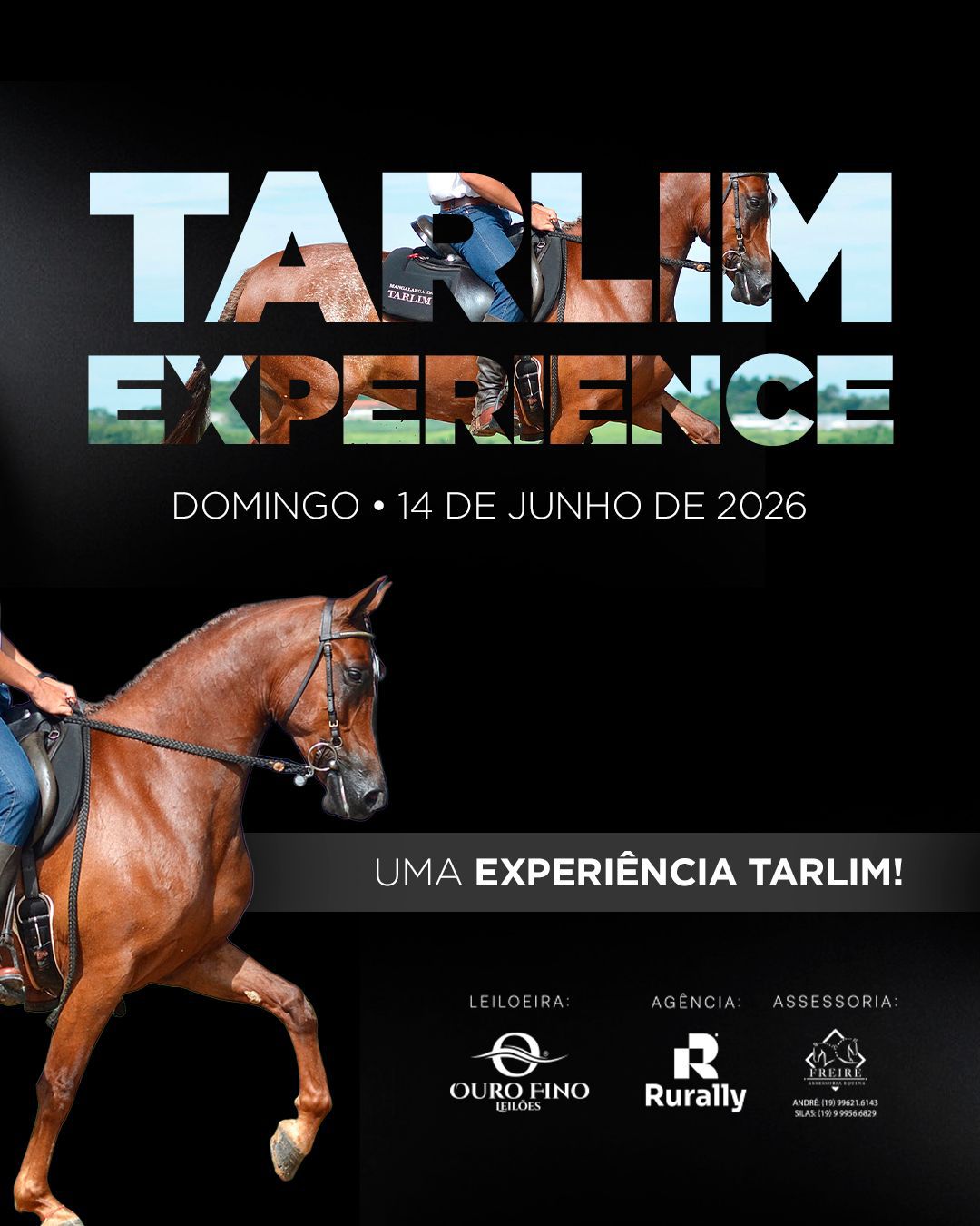 TARLIM EXPERIENCE - UMA EXPERIÊNCIA TARLIM