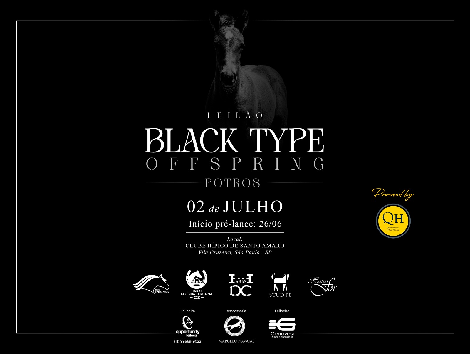 LEILÃO BLACK TYPE OFFSPRING - POTROS