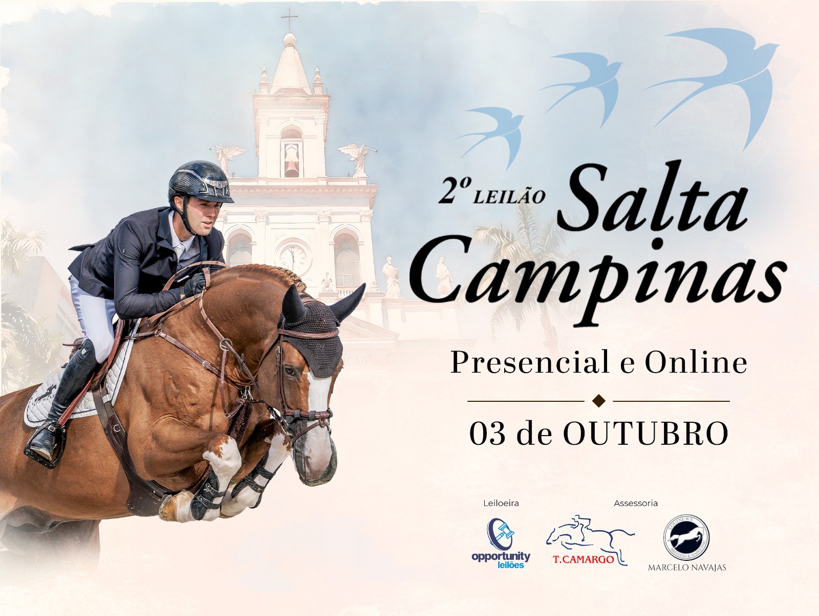2º LEILÃO SALTA CAMPINAS