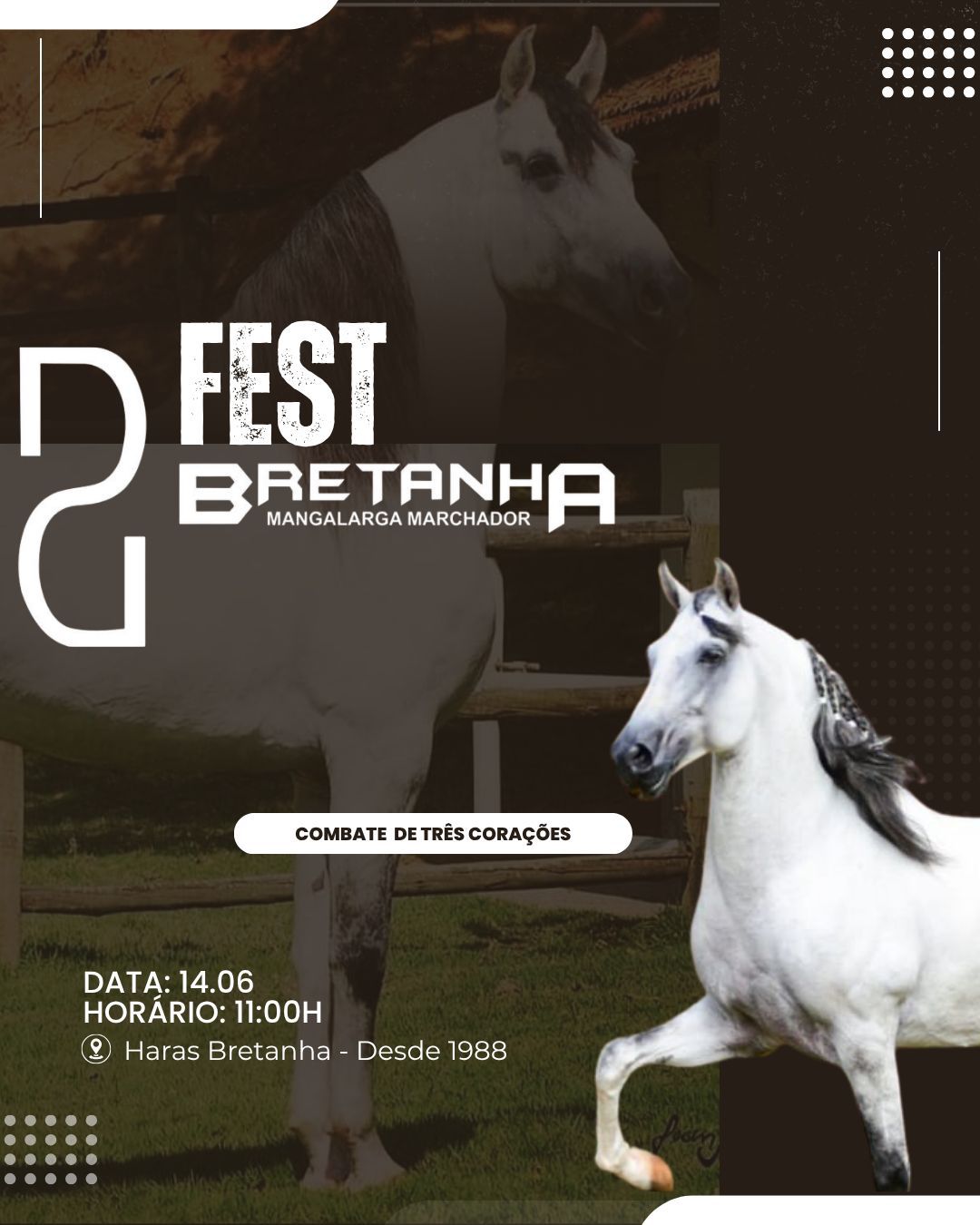 FEST BRETANHA