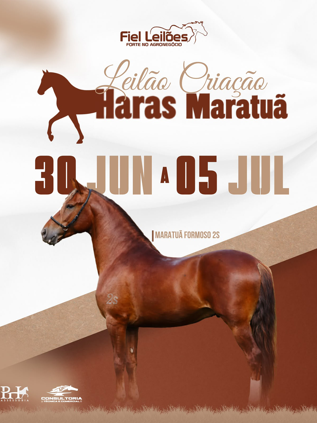 Banner Evento