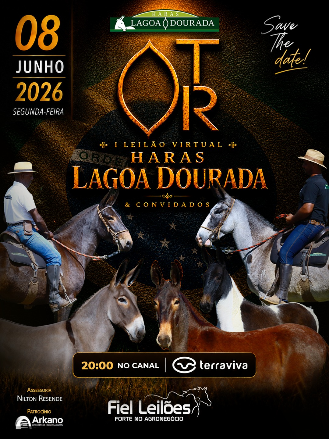 Banner Leilão