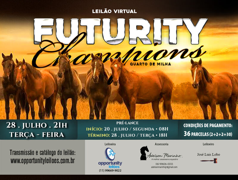 LEILÃO VIRTUAL FUTURITY CHAMPIONS