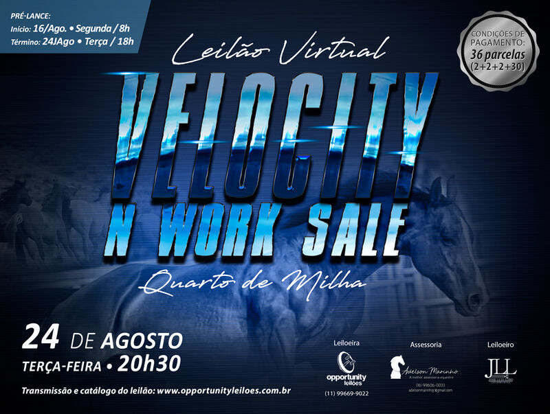 LEILÃO VIRTUAL VELOCITY N WORK SALE