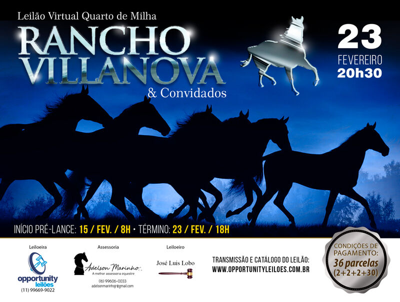 LEILÃO VIRTUAL RANCHO VILLANOVA & CONVIDADOS