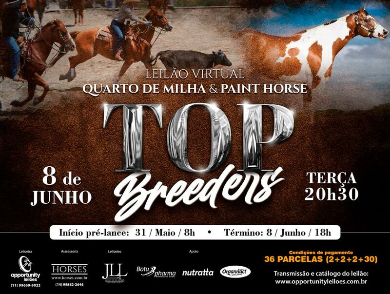 LEILÃO VIRTUAL TOP BREEDERS