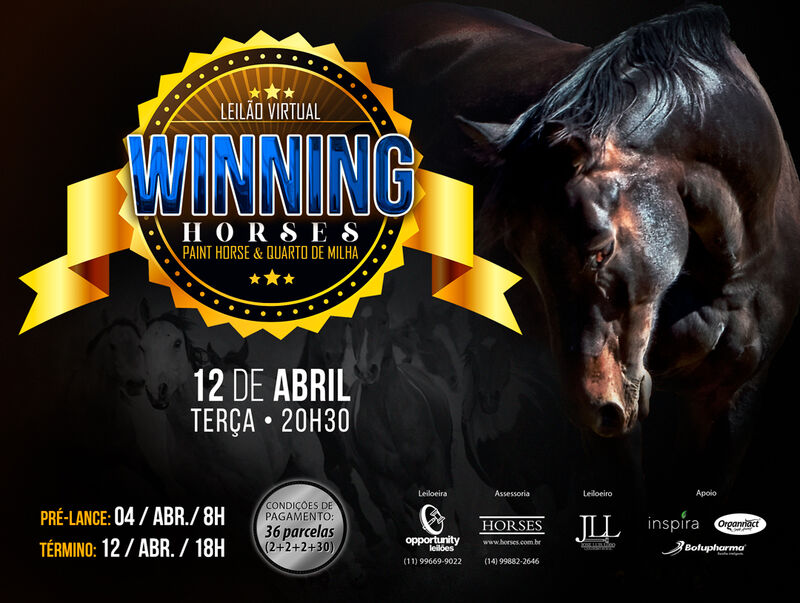 LEILÃO VIRTUAL WINNING HORSES