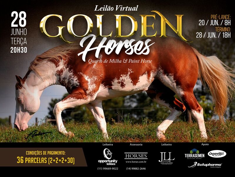 LEILÃO VIRTUAL GOLDEN HORSES