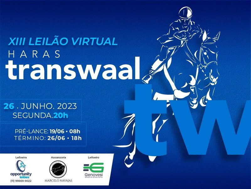 XIII LEILÃO VIRTUAL HARAS TRANSWAAL