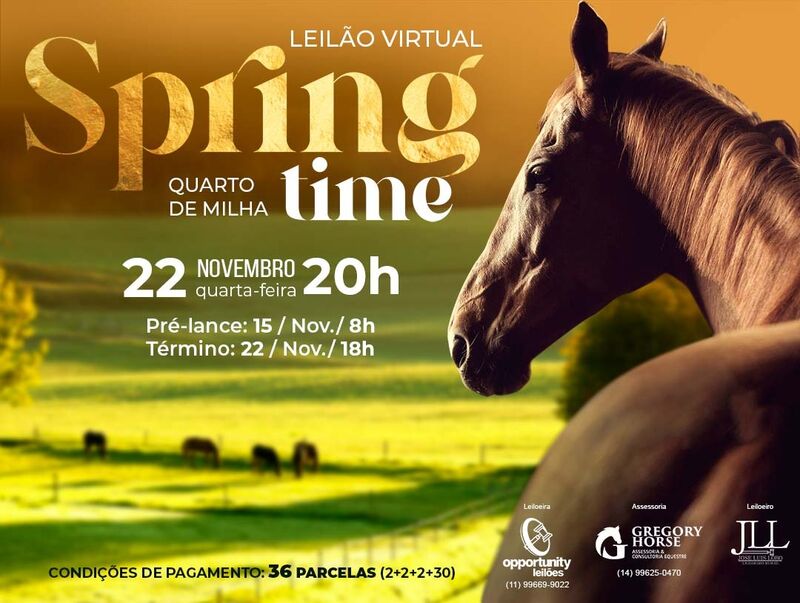 LEILÃO VIRTUAL SPRING TIME - QUARTO DE MILHA