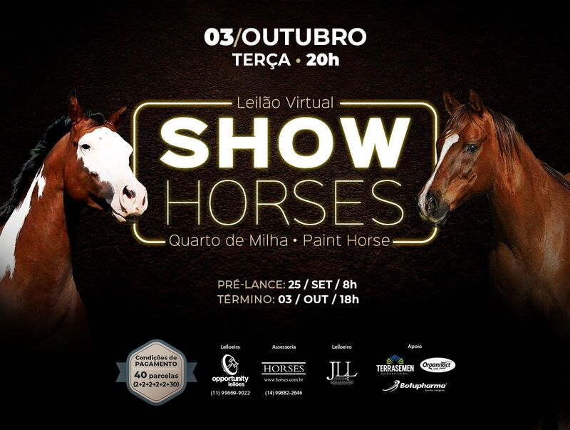 LEILÃO VIRTUAL SHOW HORSES