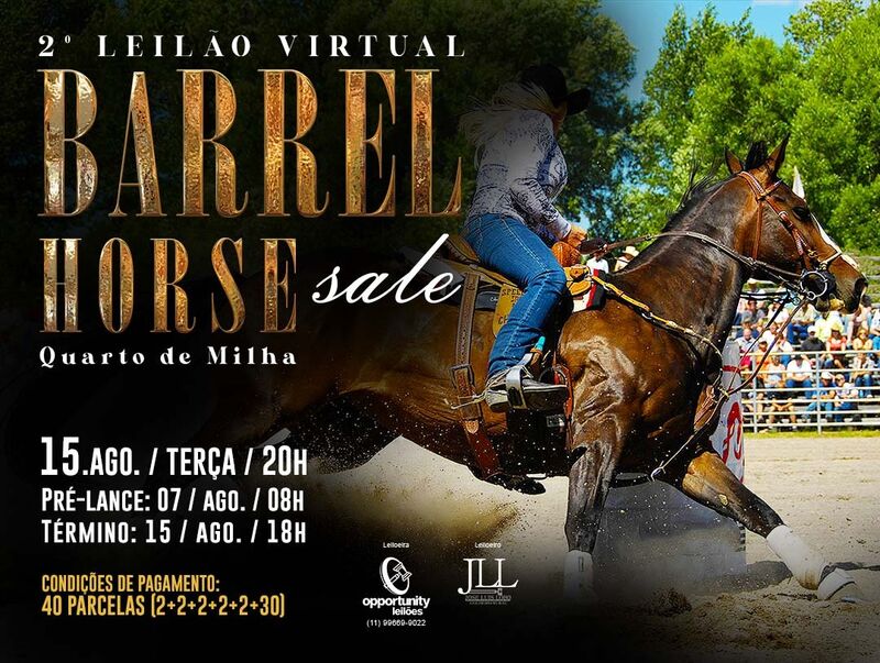 2º LEILÃO VIRTUAL BARREL HORSE SALE