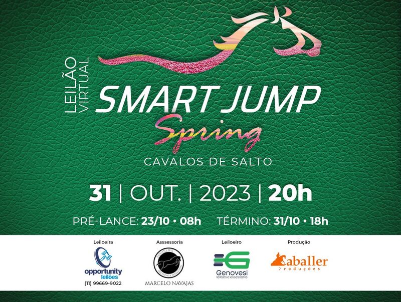 LEILÃO VIRTUAL SMART JUMP - SPRING