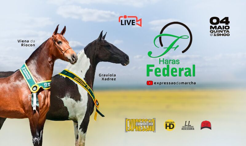 LIVE HARAS FEDERAL