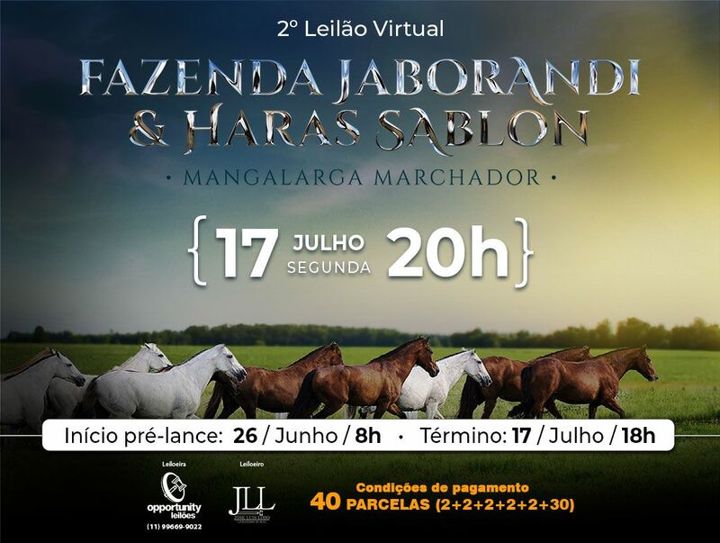 2º LEILÃO VIRTUAL - FAZENDA JABORANDI & HARAS SABLON