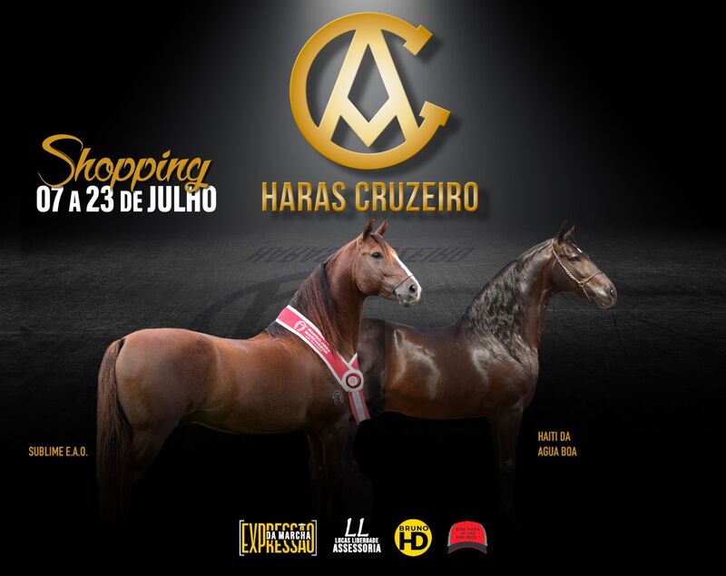 SHOPPING HARAS CRUZEIRO