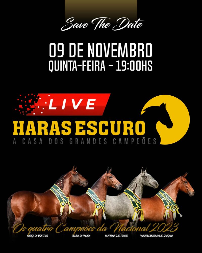 LIVE HARAS ESCURO