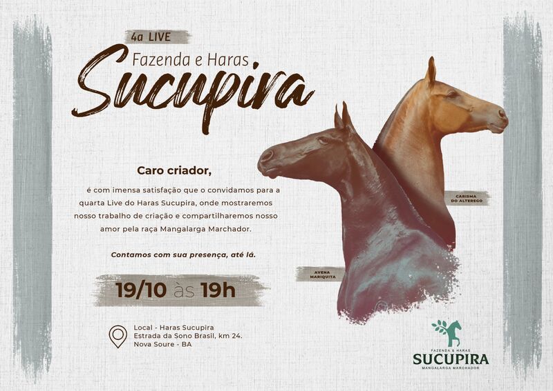 4º LIVE FAZENDA E HARAS SUCUPIRA
