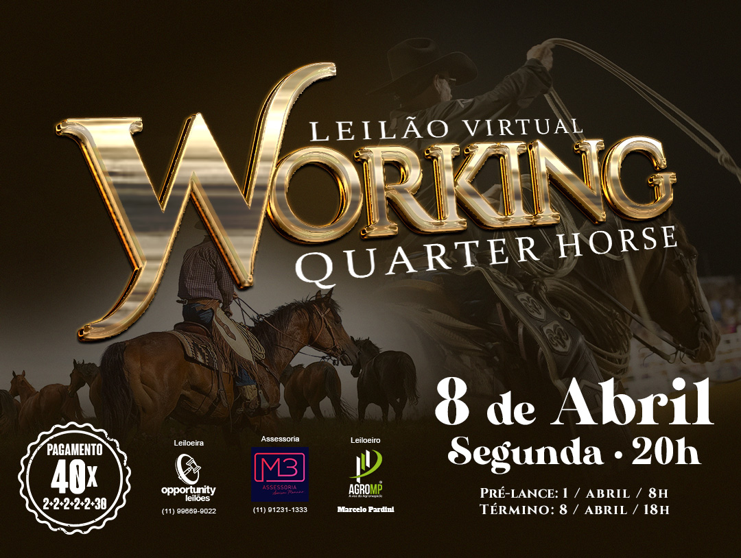 LEILÃO VIRTUAL - WORKING QUARTER HORSES