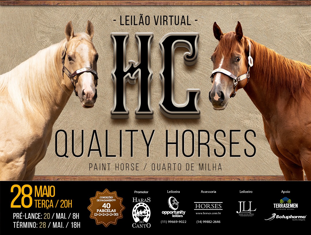 LEILÃO VIRTUAL HC QUALITY HORSES
