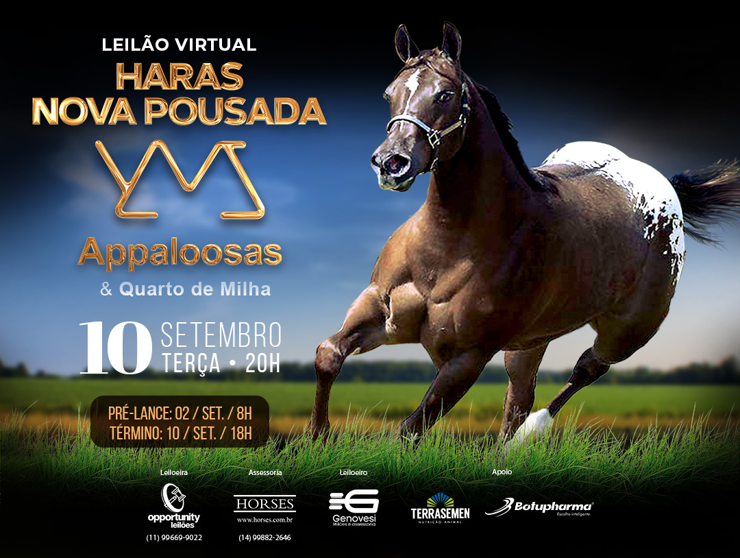 LEILÃO VIRTUAL HARAS NOVA POUSADA