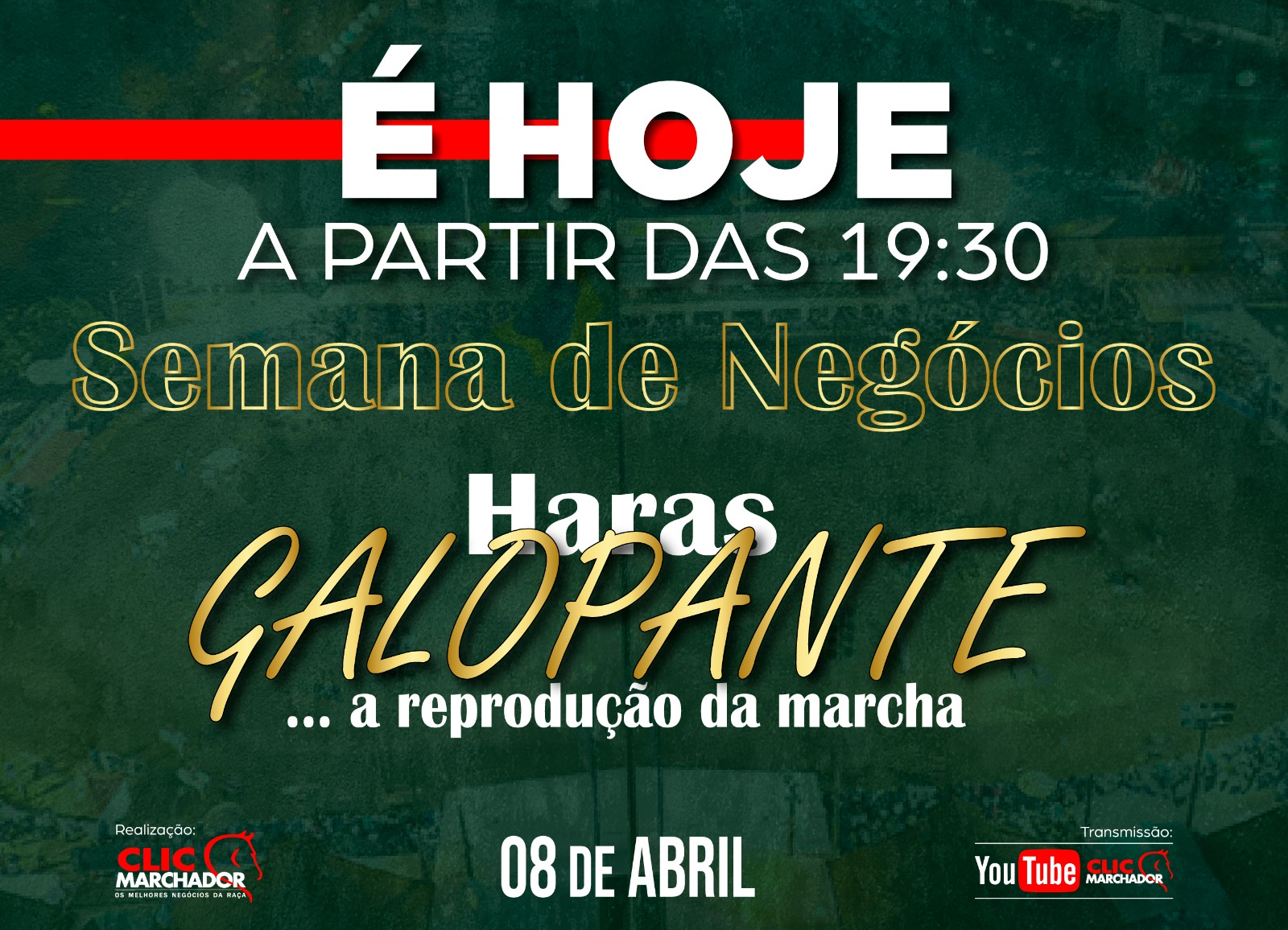 SEMANA DE NEGÓCIOS HARAS GALOPANTE