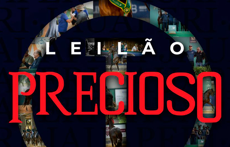 LEILÃO HARAS PRECIOSO OURO FINO LEILÕES