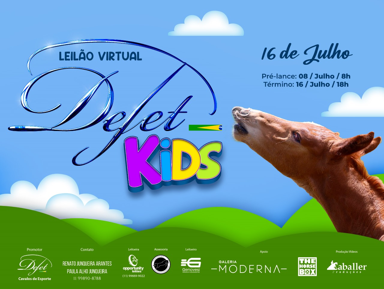 LEILÃO VIRTUAL DEJET KIDS