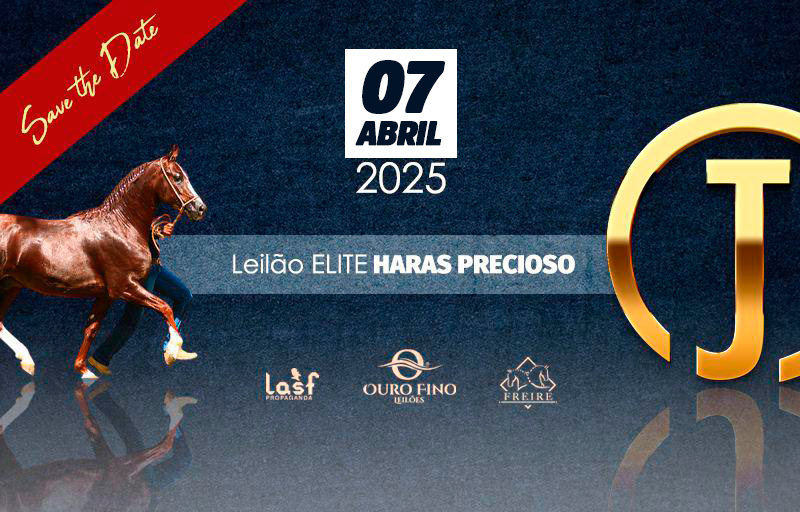 LEILÃO ELITE HARAS PRECIOSO