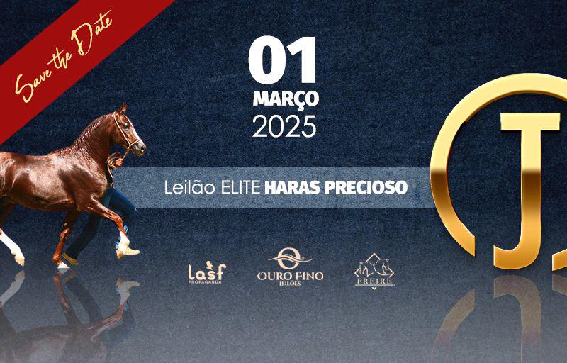 LEILÃO ELITE HARAS PRECIOSO