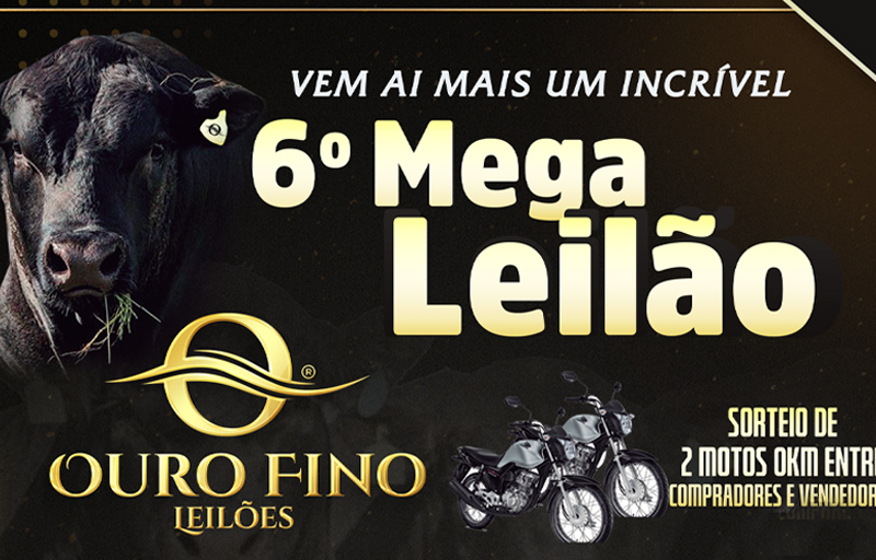 6º MEGA LEILÃO OURO FINO LEILÕES