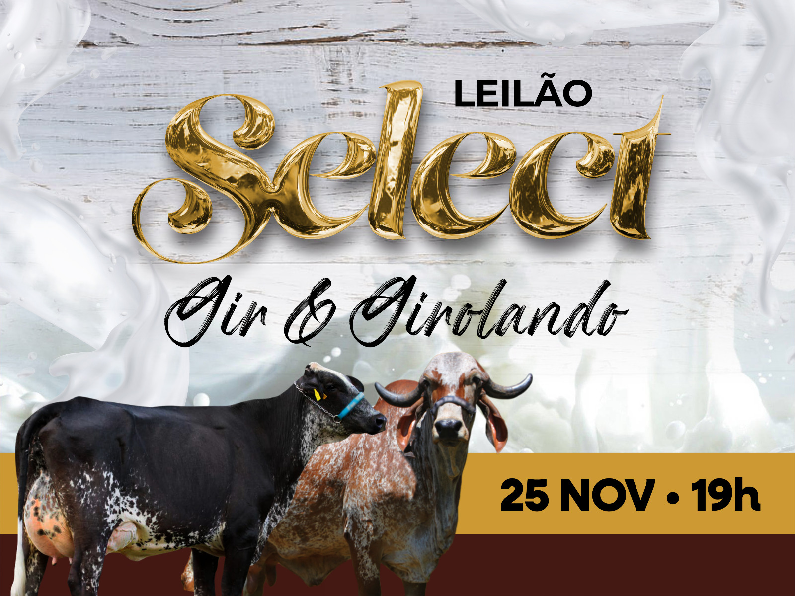 LEILÃO SELECT GIR & GIROLADO