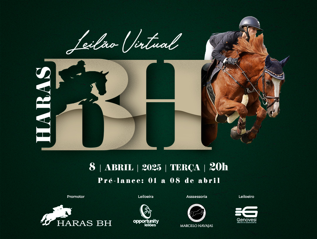 LEILÃO VIRTUAL HARAS BH