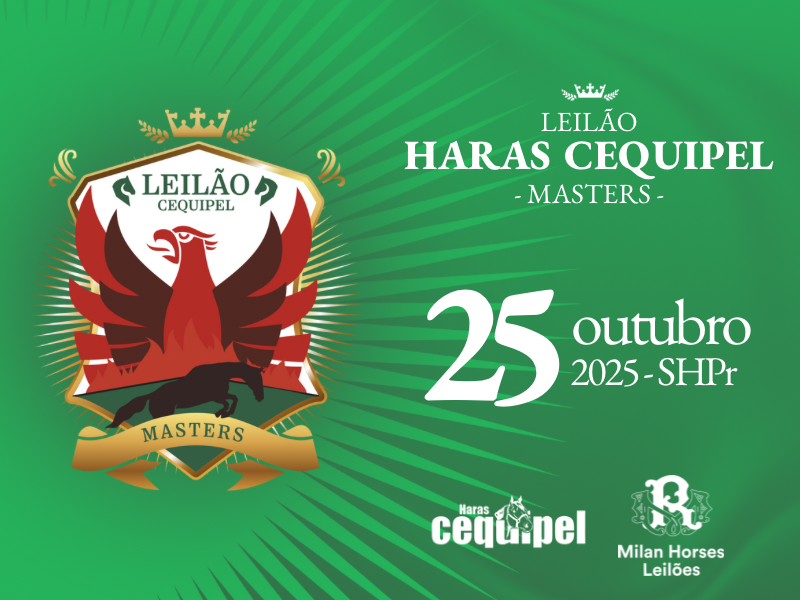 LEILÃO HARAS CEQUIPEL MASTERS