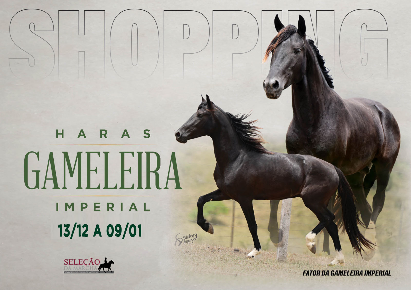 Imagem Evento