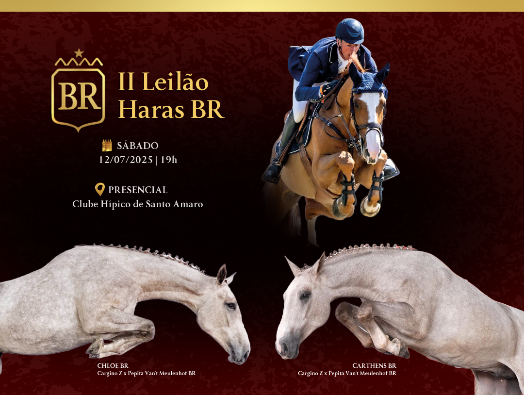 2º LEILÃO HARAS BR & CONVIDADOS