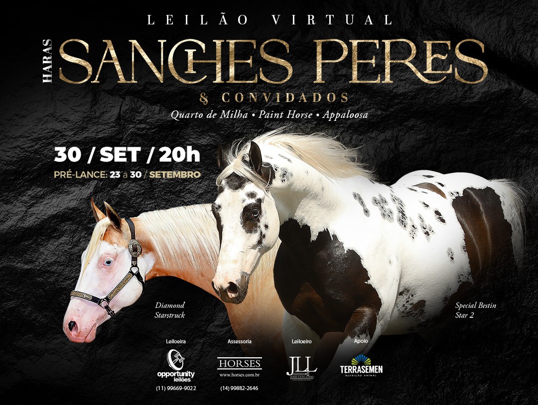 LEILÃO VIRTUAL SANCHES PERES