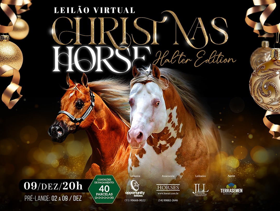 LEILÃO VIRTUAL CHRISTMAS TIME - HALTER EDITION