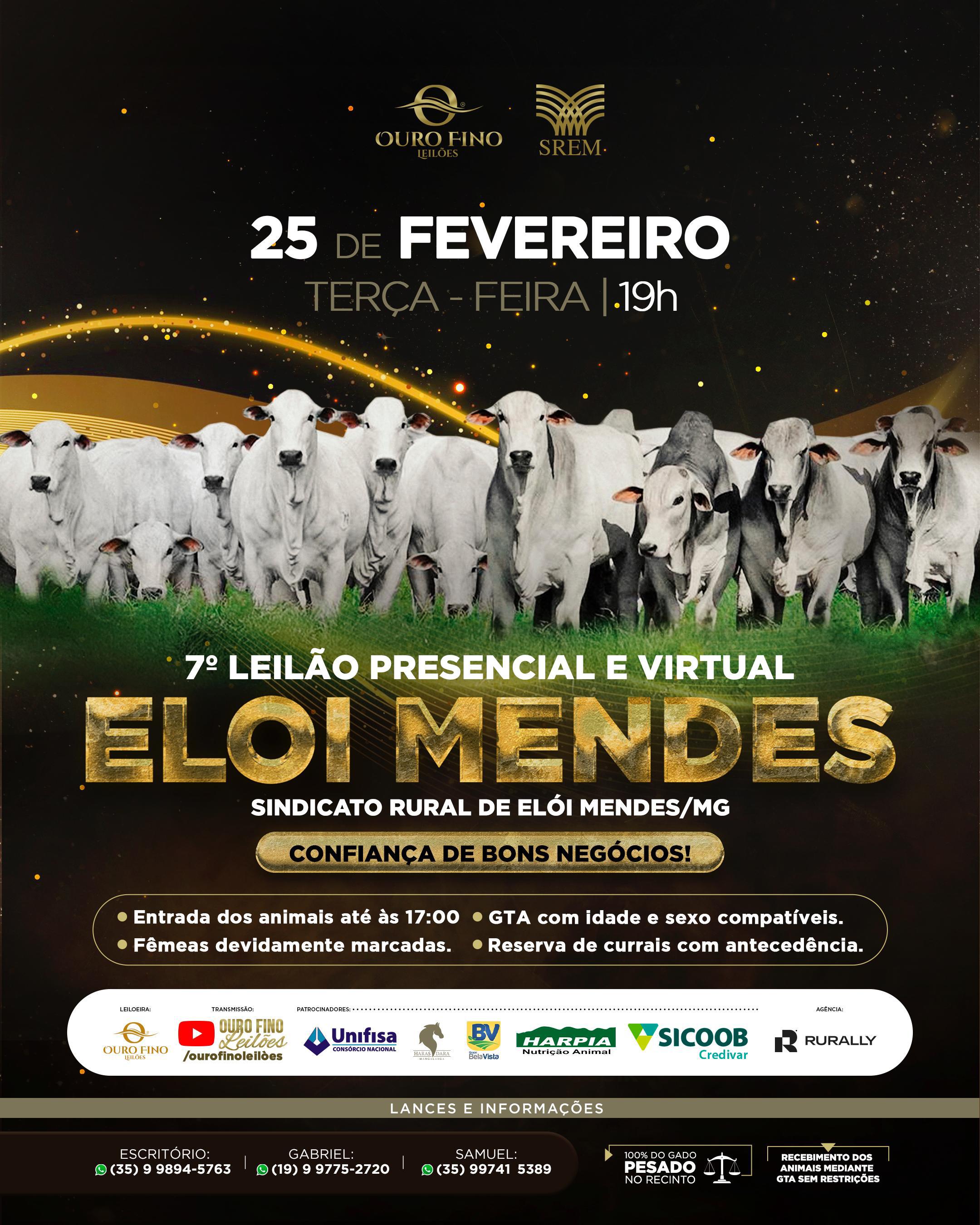 7º  LEILÃO PRESENCIAL ELOI MENDES