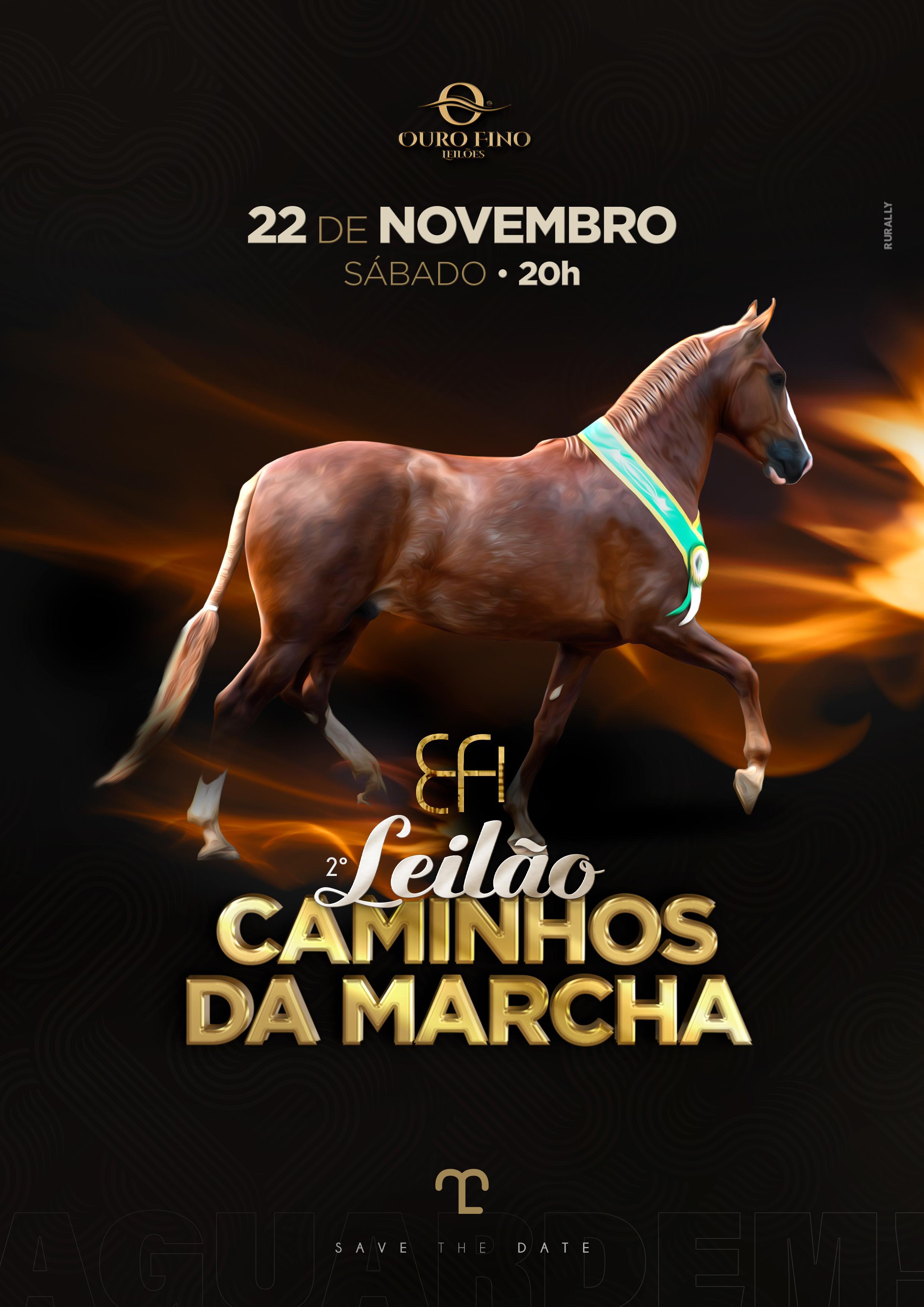 2º  LEILÃO EFI -  CAMINHOS DA MARCHA