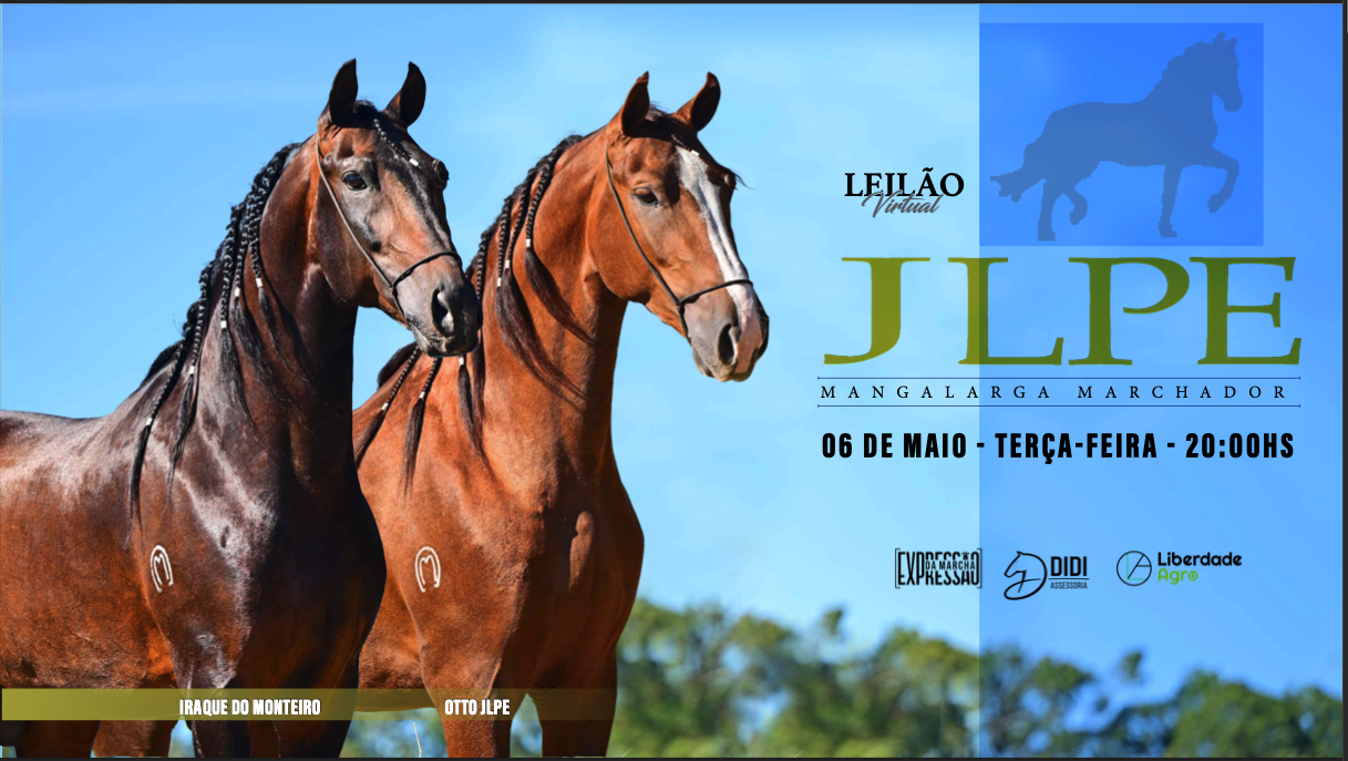 LEILÃO VIRTUAL JLPE
